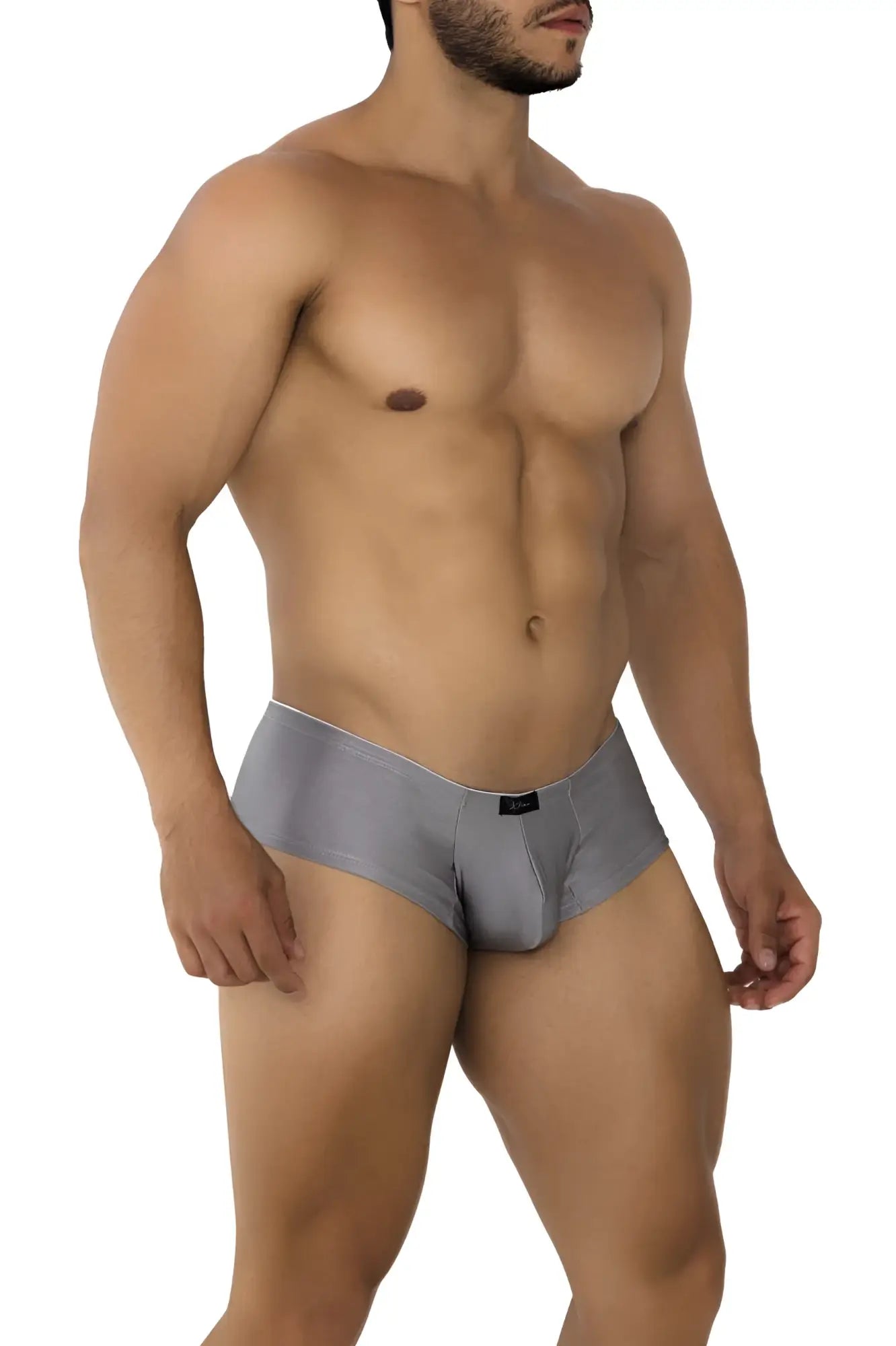 Gray xtremen 91180 microfiber trunks with form-fitting stretchy fabric and subtle black logo on waistband in silver color