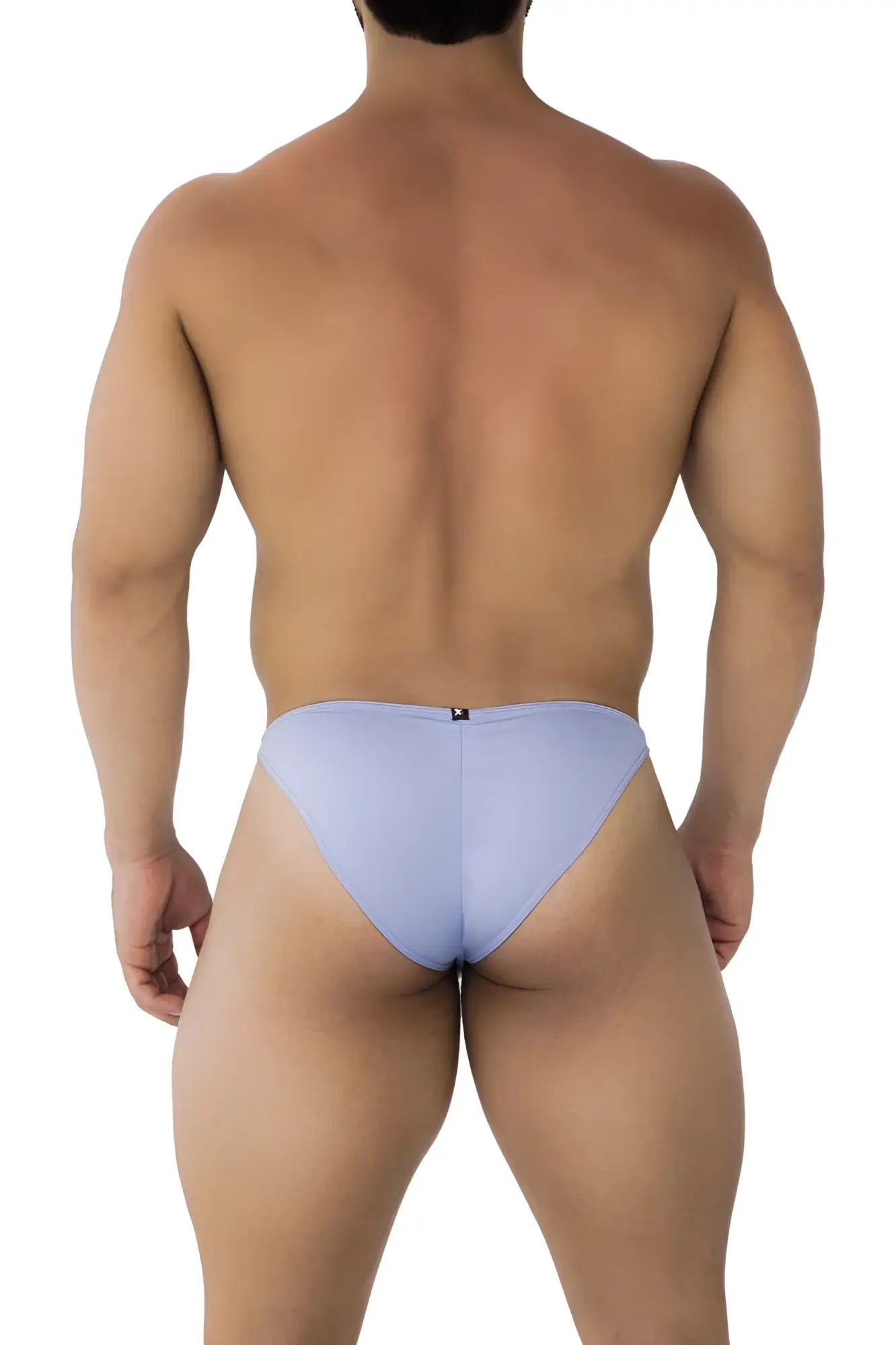 Back view of xtremen 91183 microfiber bikini briefs in lilac with sleek fabric and small black logo at center back