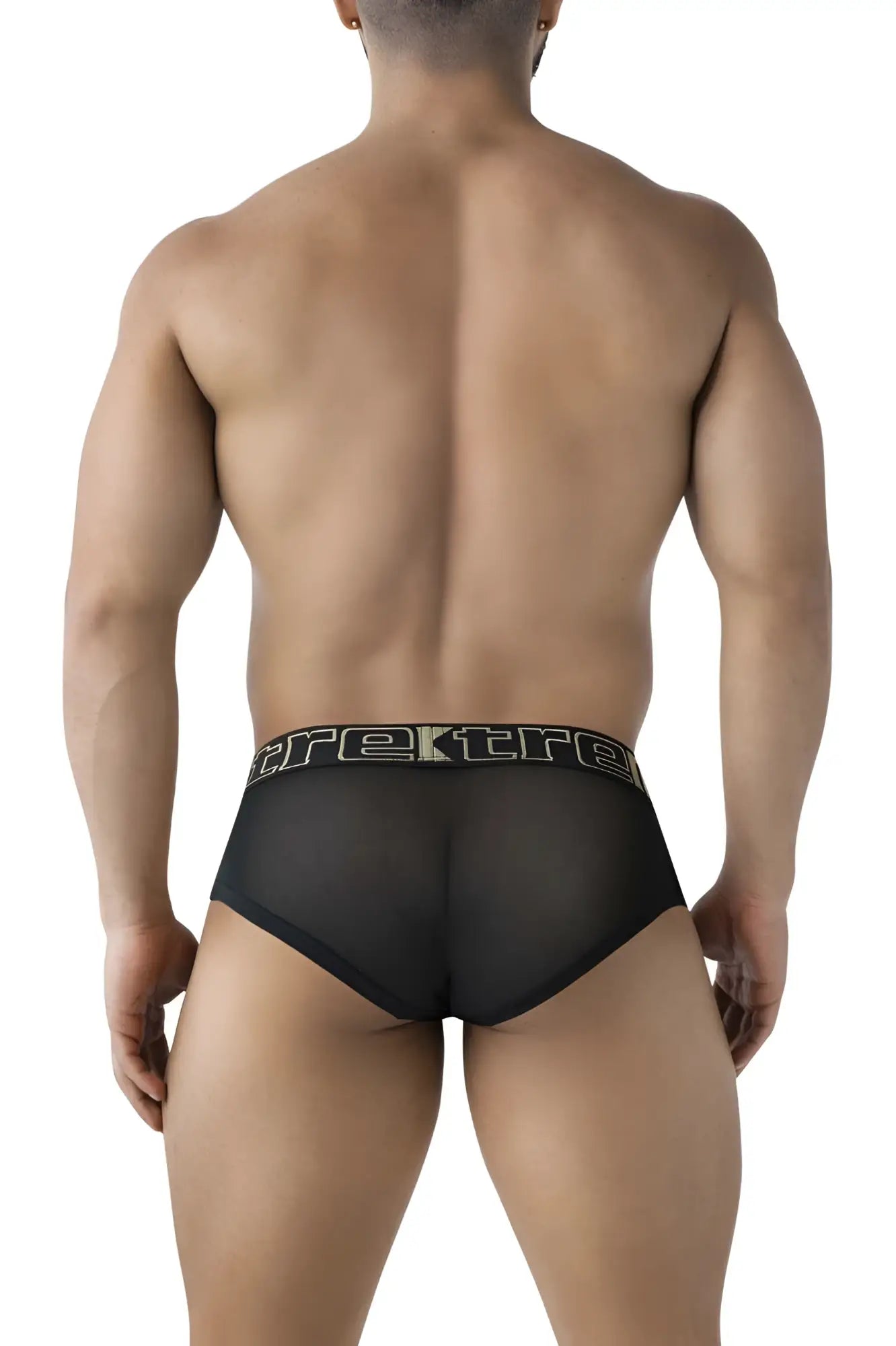 Black sheer mesh Xtremen 91236 microfiber briefs with a black elastic waistband featuring silver trek logo