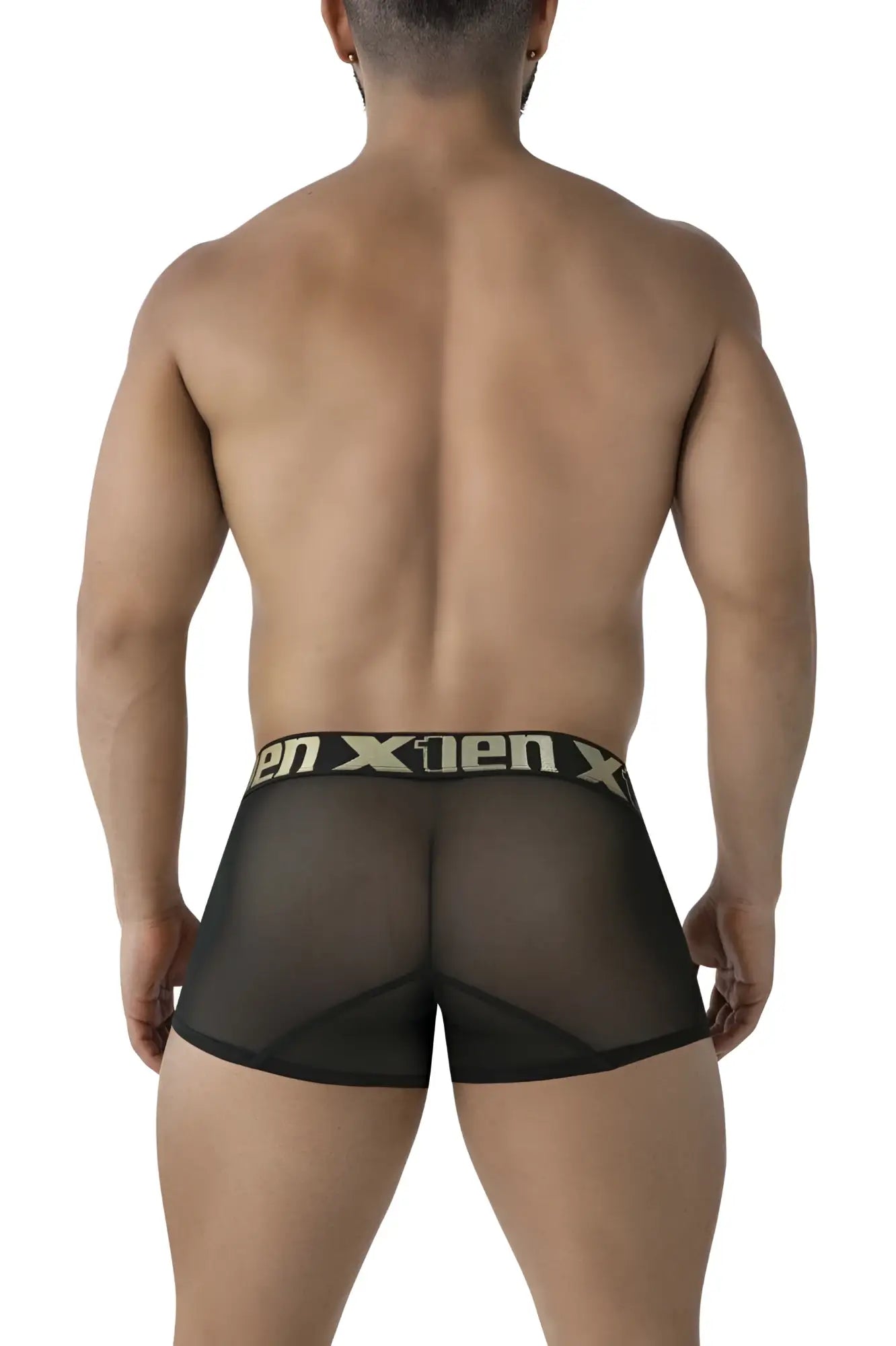 Black sheer mesh briefs with black waistband and gold x1en logo from xtremen 91237 microfiber trunks in black