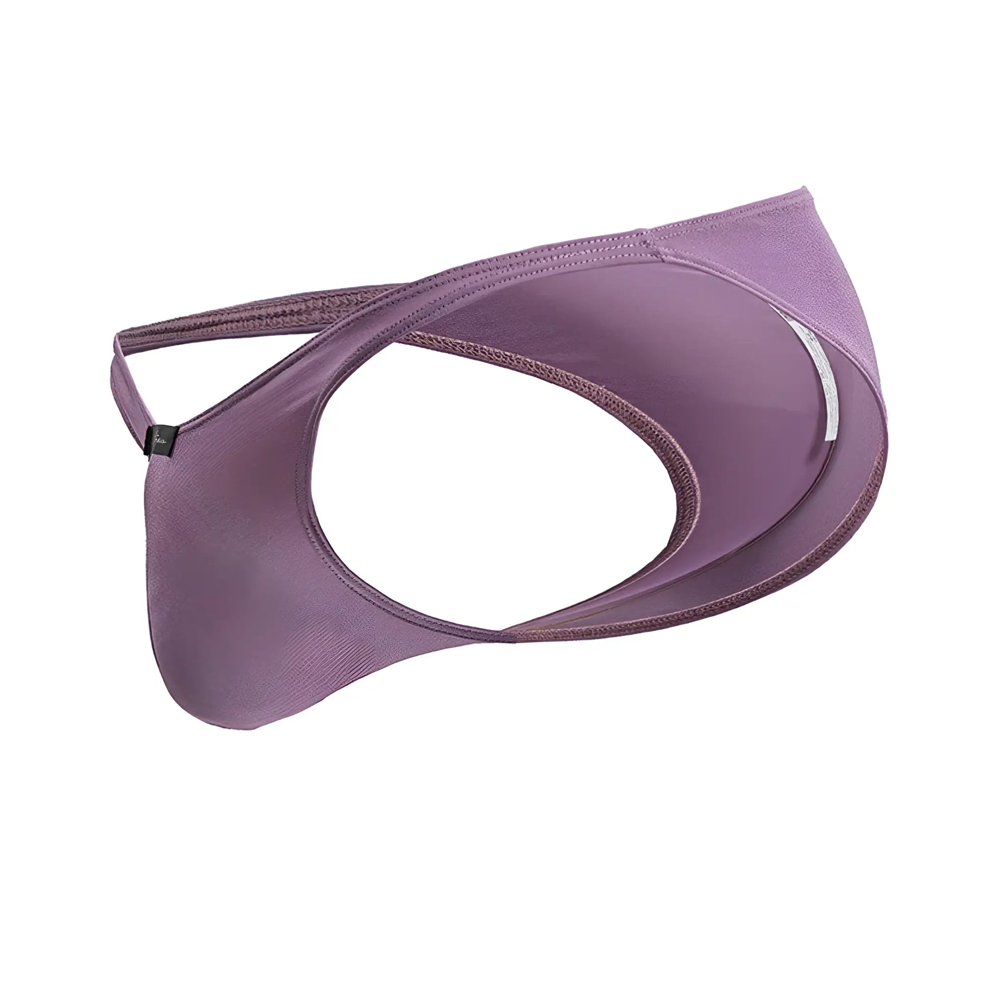 Purple blackberry microfiber bikini briefs with stretchy fabric and subtle stitching details in a sleek design
