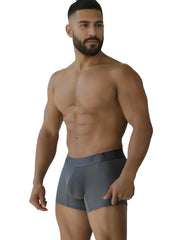 Gray xtremen 91251 microfiber mesh boxer briefs with subtle logo on waistband designed for comfort and breathability