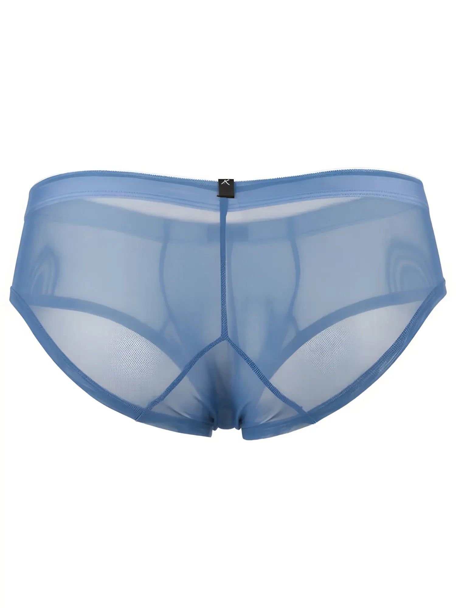 Blue mesh bikini briefs with sheer fabric, a contoured pouch, and a small Xtremen brand tag on the center waistband.