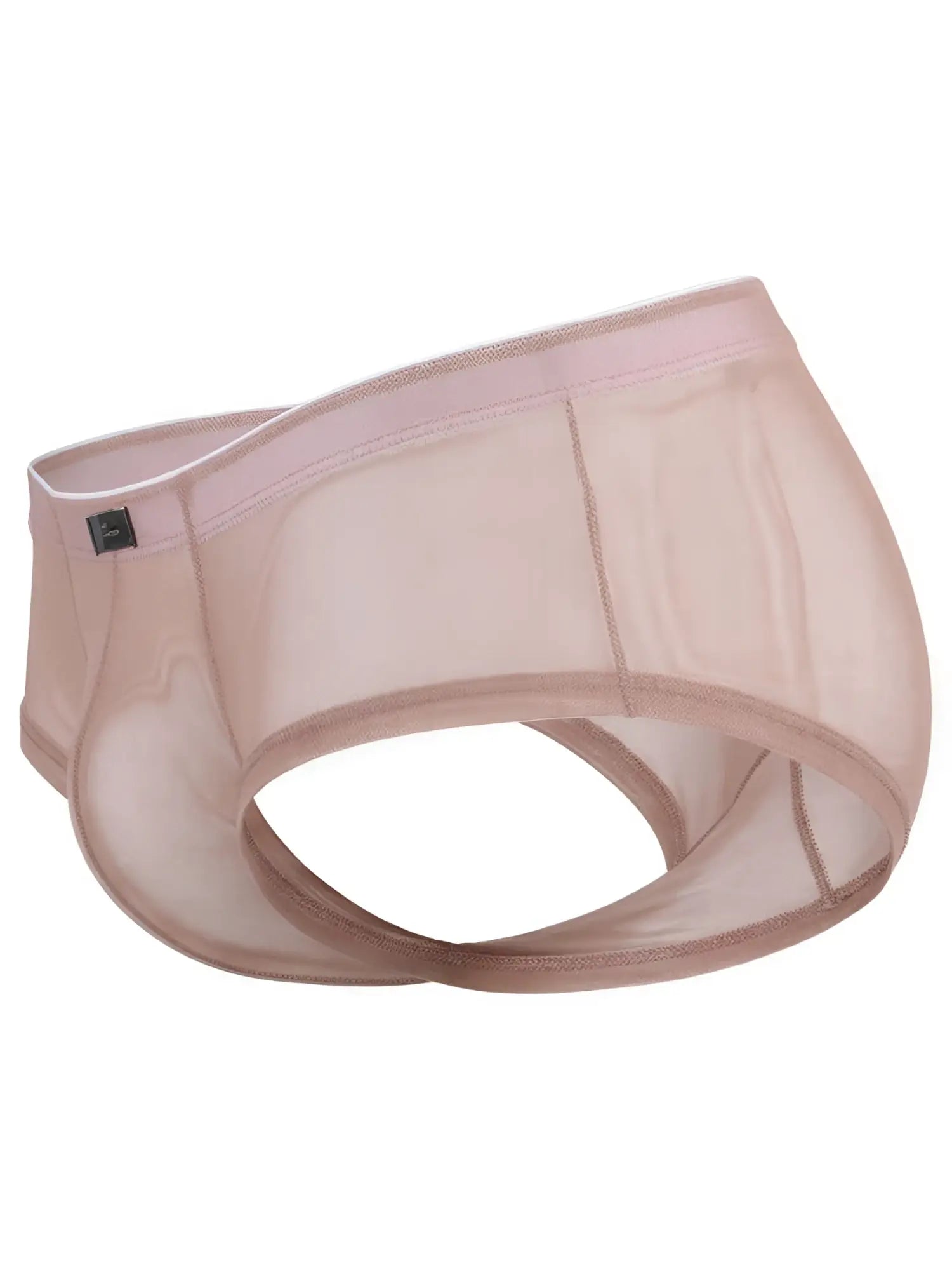 Beige sheer mesh bikini briefs with an elastic waistband and small black branded side tag.