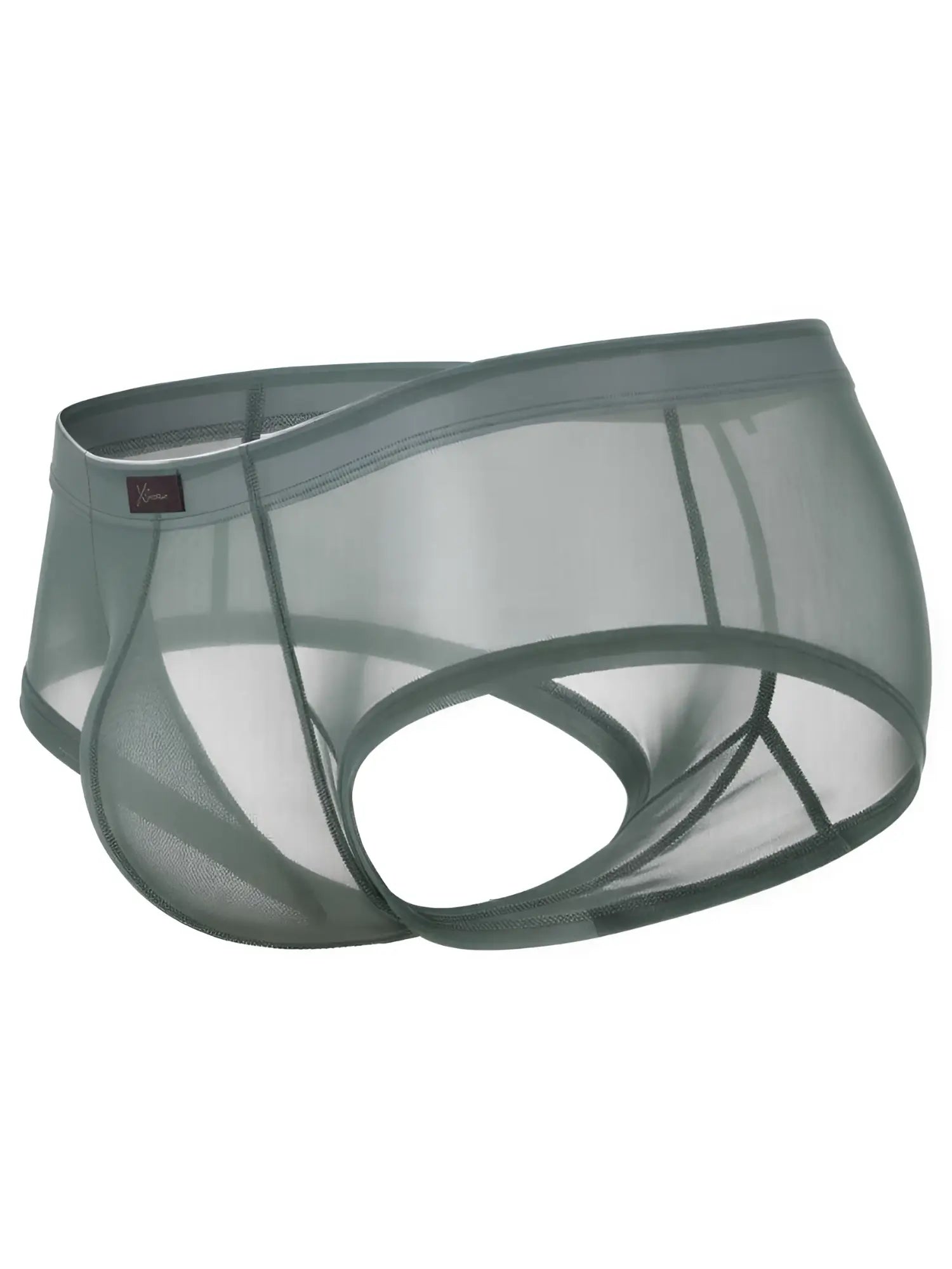 Sage green mesh bikini brief by Xtremen with an open-back design and branded logo tab on the waistband.