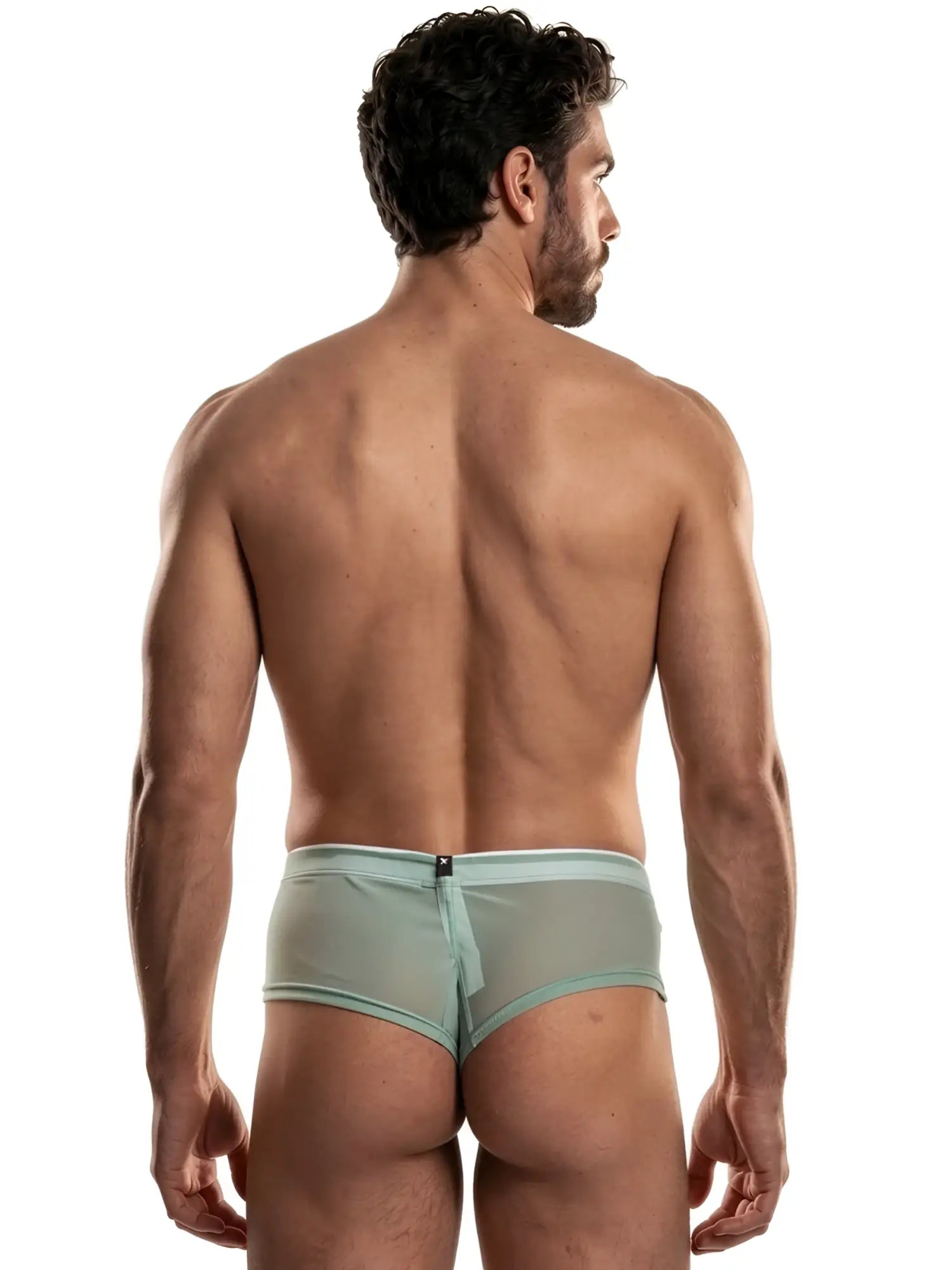 Sage green microfiber bikini brief featuring sheer mesh fabric and a vertical center-back seam with a logo tab.