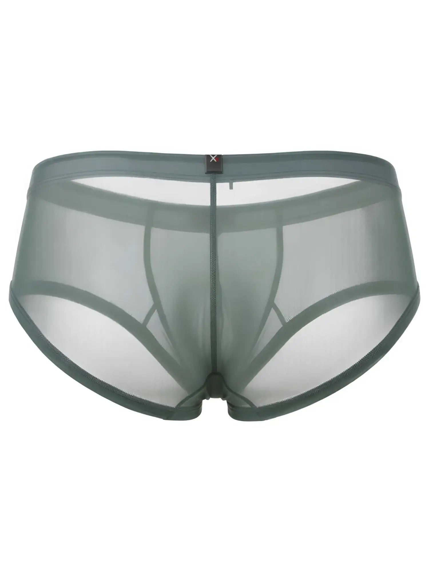 Sage green sheer mesh bikini brief by Xtremen with a small logo tag on the center waistband.