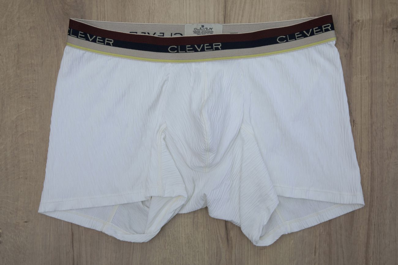 Boxer Clever 2412 Antonio Couleur Beige