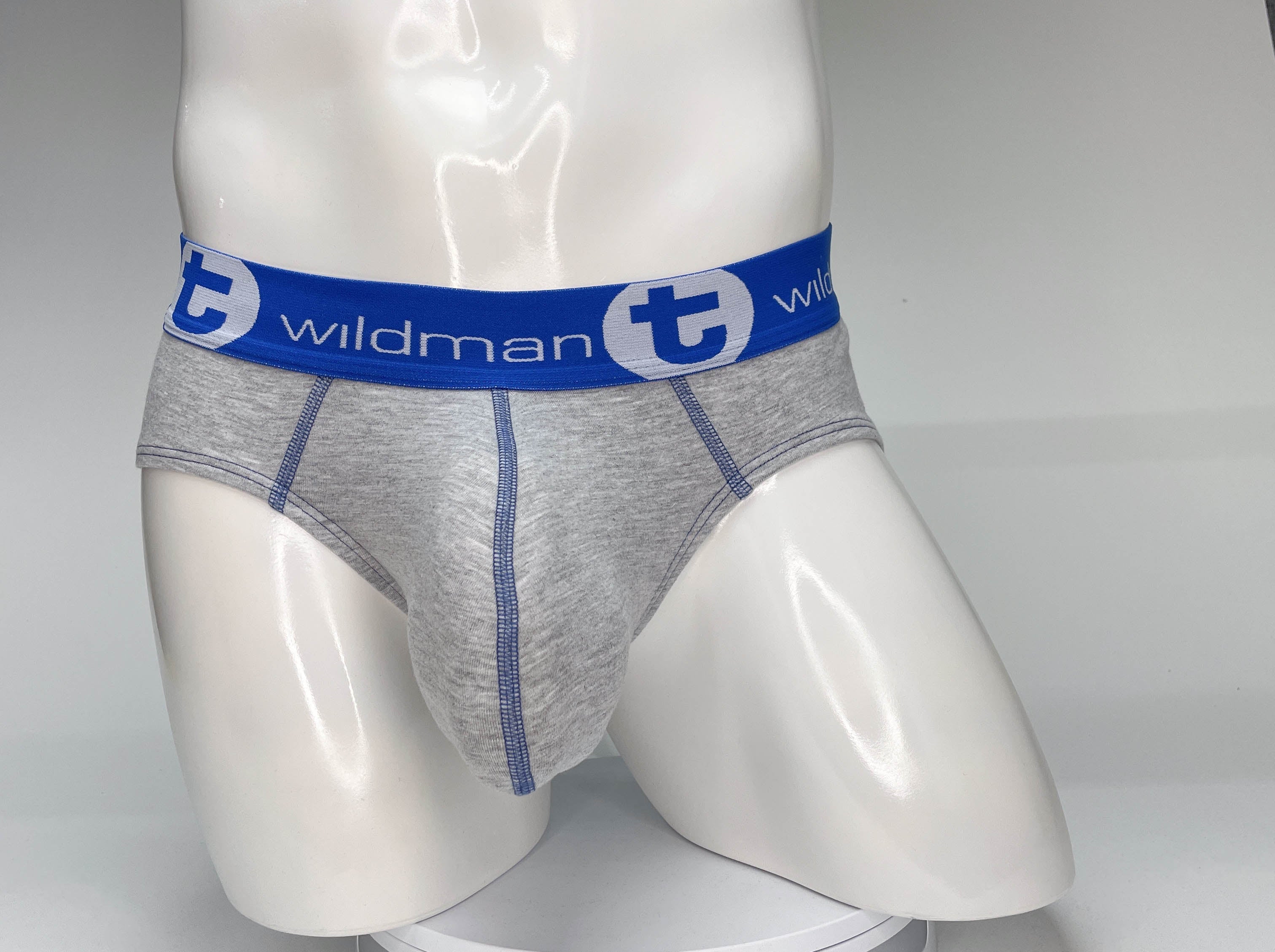 WildmanT Big Boy Pouch Cotton Brief Gray and Blue - EricSaloDesign.com