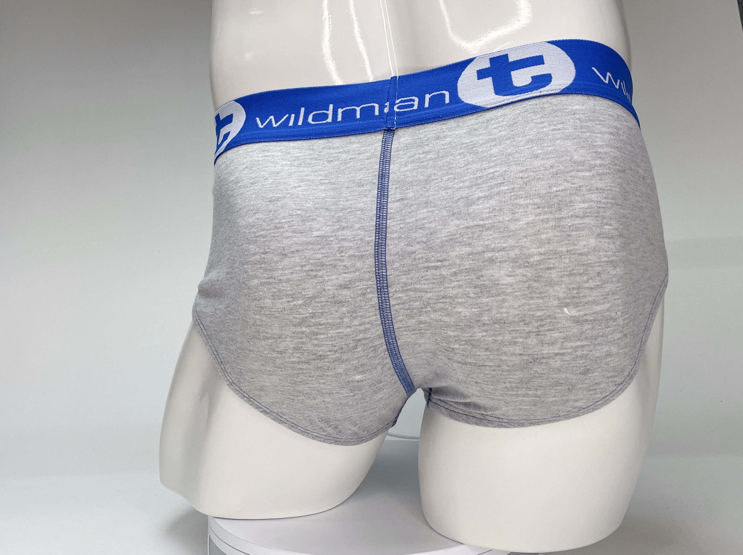 WildmanT Big Boy Pouch Cotton Brief Gray and Blue - EricSaloDesign.com