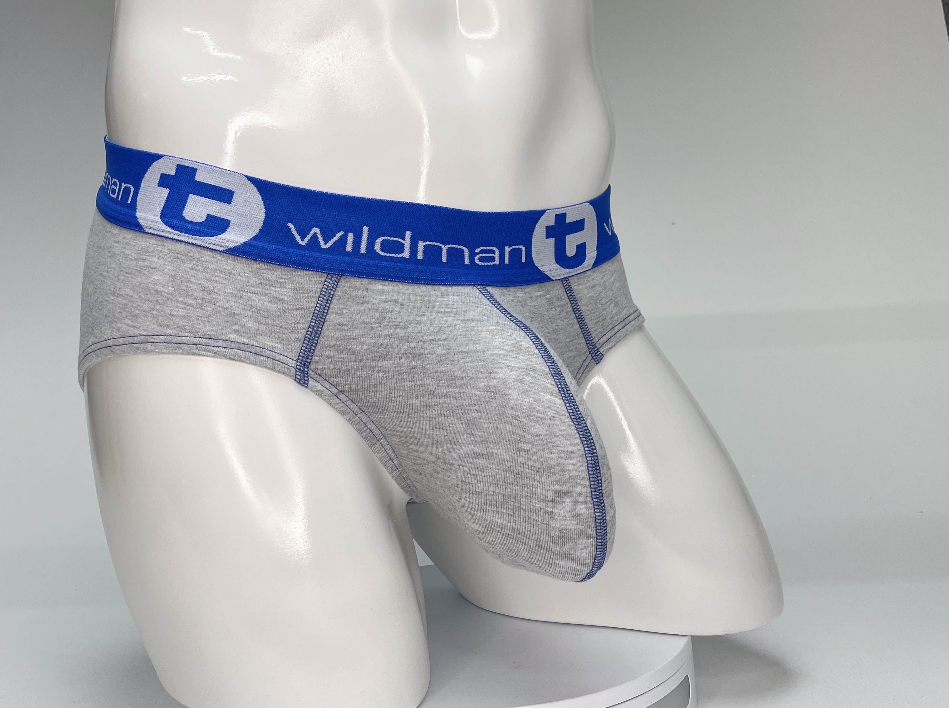 WildmanT Big Boy Pouch Cotton Brief Gray and Blue - EricSaloDesign.com