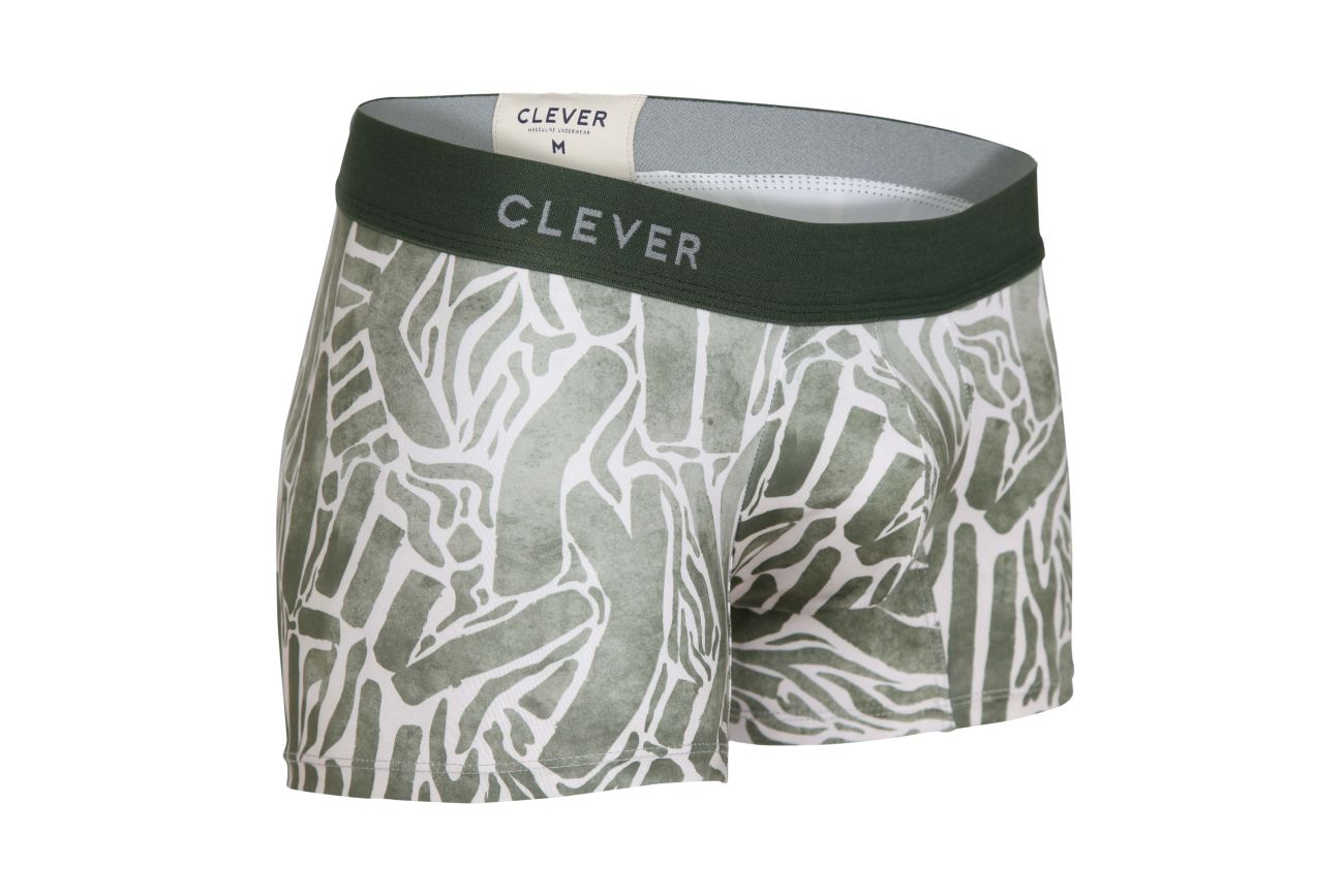 Coffret intérieur Clever 1129 Couleur Vert