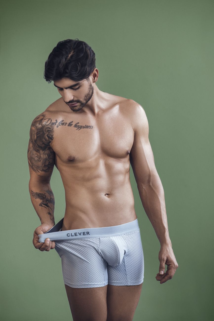 Clever 1260 Euphoria Boxershorts Farbe Grau