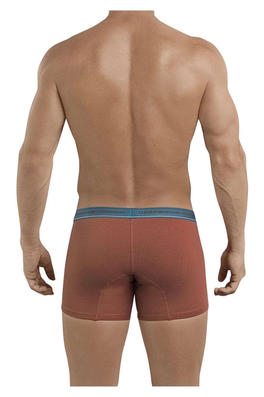 Clever 2394 Attraktive Boxershorts Farbe Braun