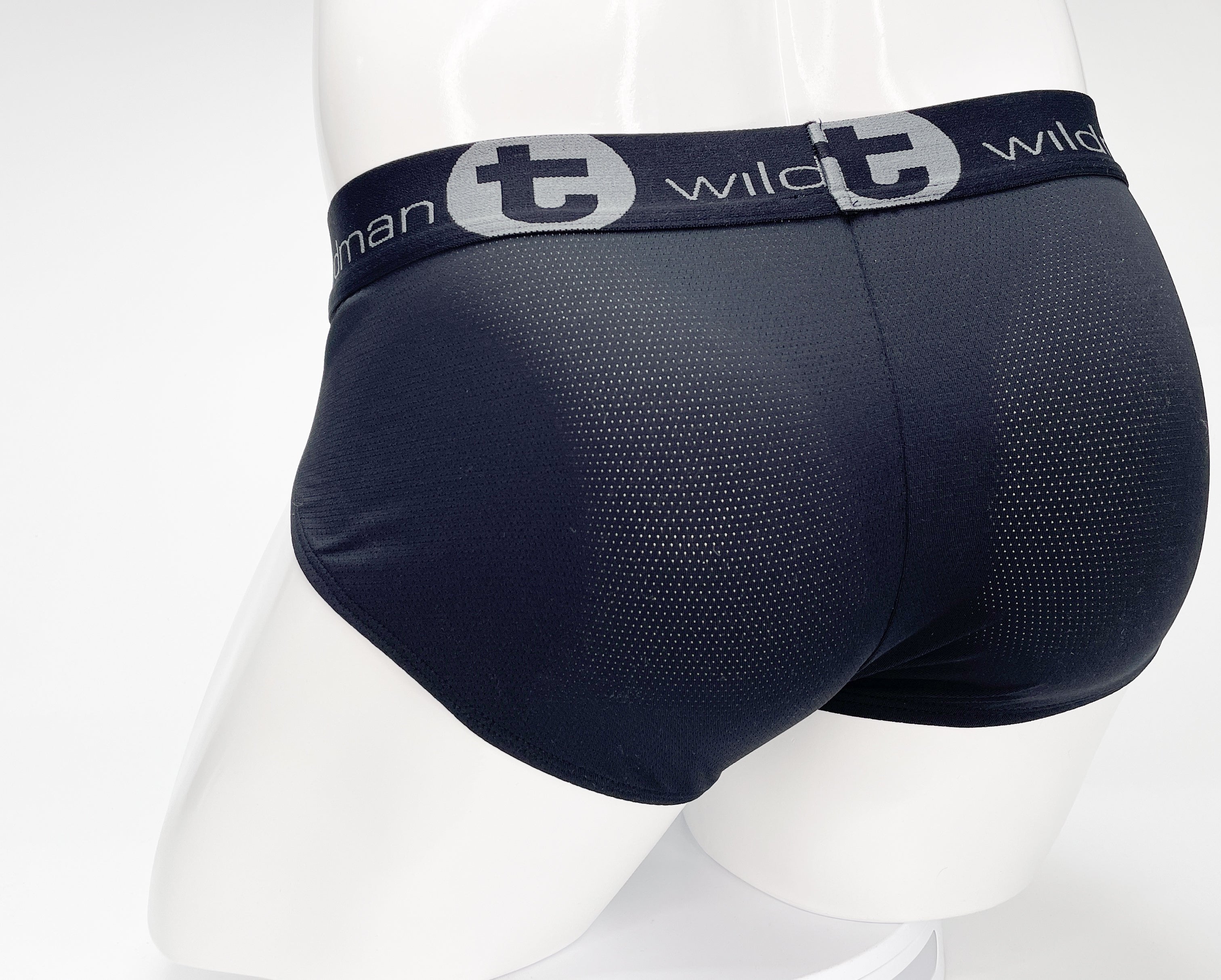 WildmanT Mesh Monster Cock Brief Black - EricSaloDesign.com