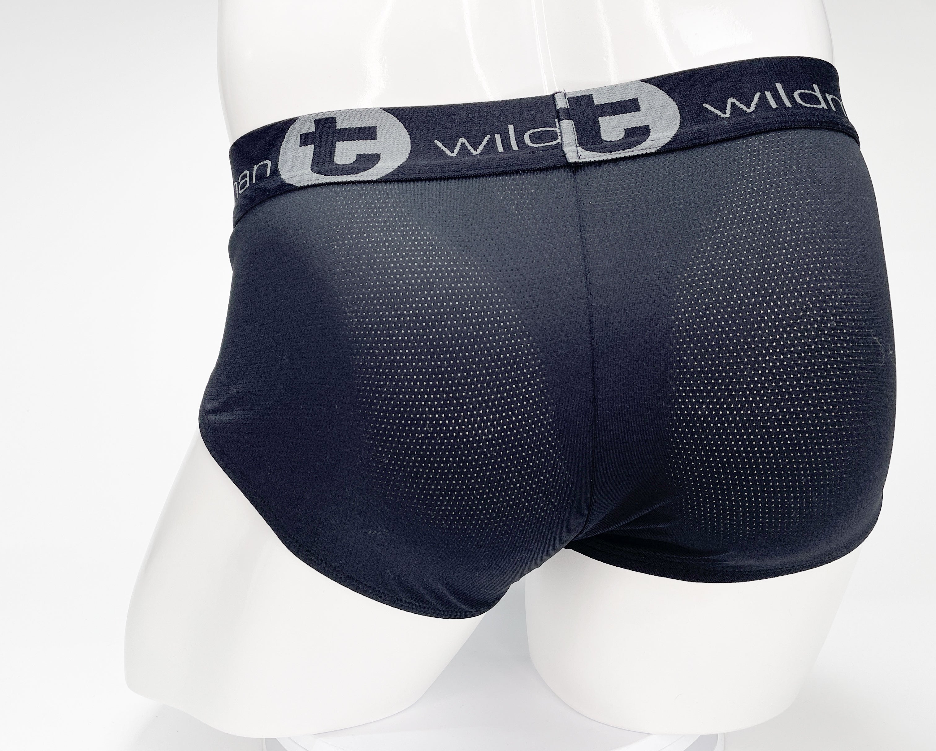 WildmanT Mesh Monster Cock Brief Black - EricSaloDesign.com