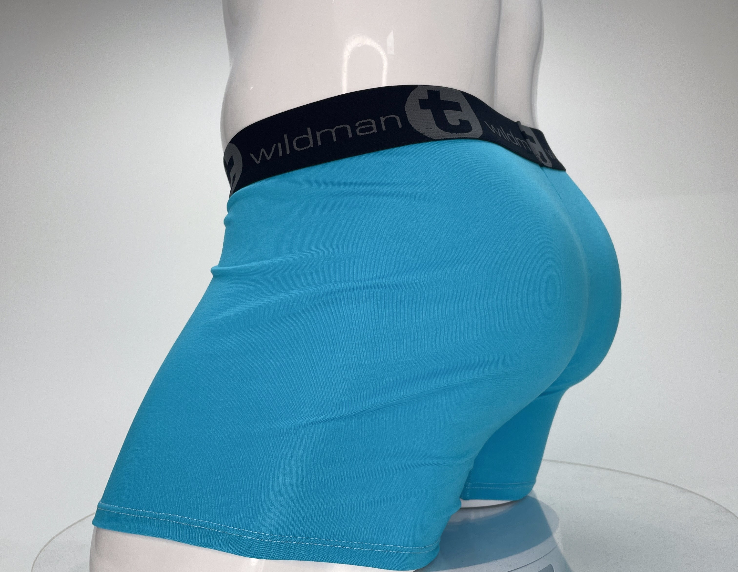 WildmanT Modal Monster Cock 5" Inseam Boxer Brief Baby Blue - EricSaloDesign.com