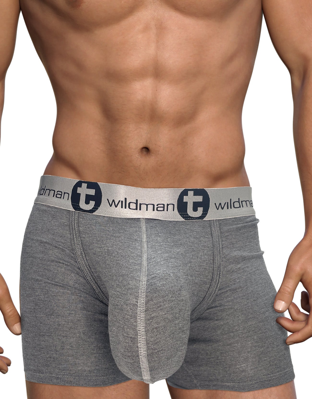 WildmanT Modal Monster Cock 5" Inseam Boxer Brief Gray - EricSaloDesign.com