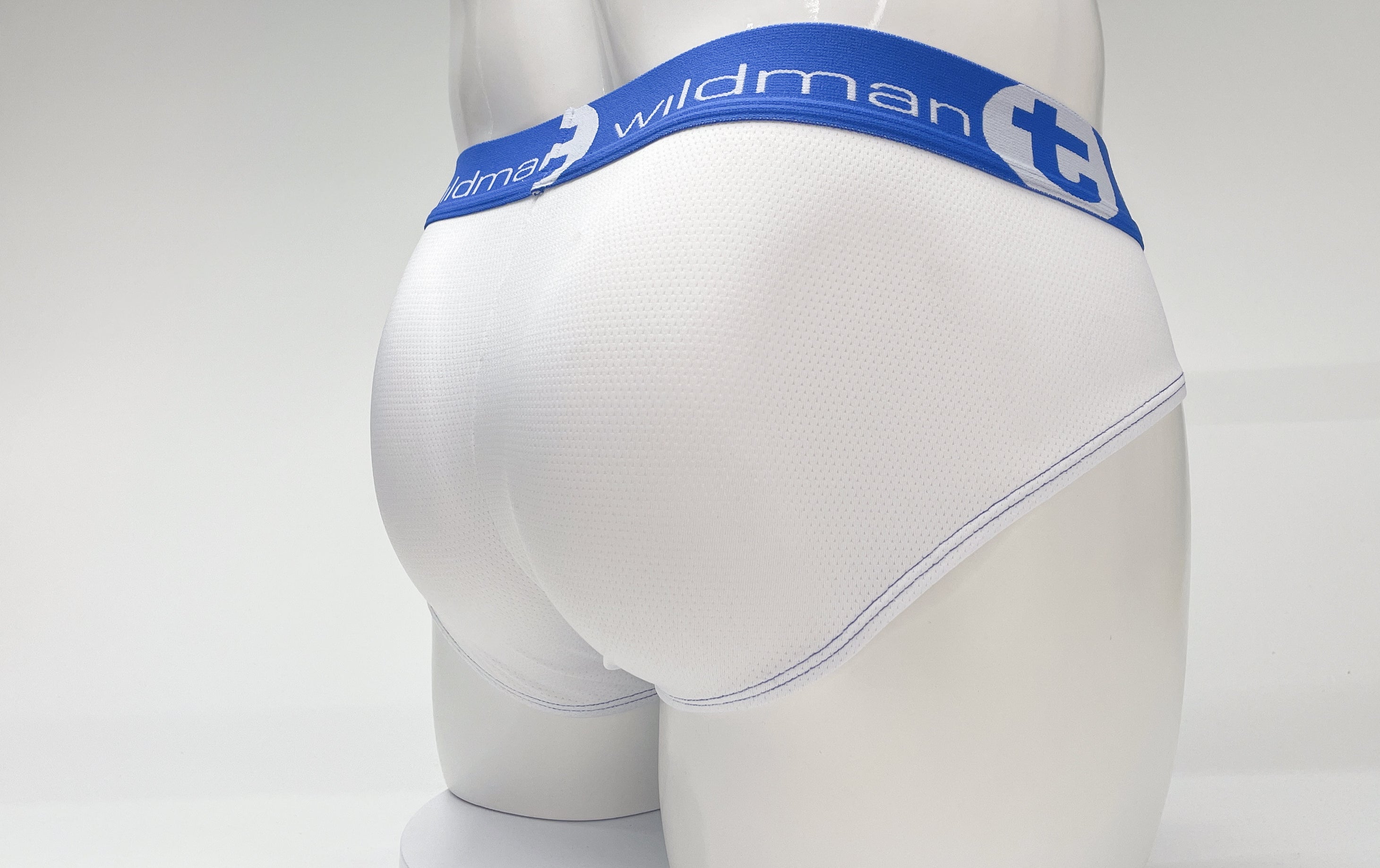 WildmanT Mesh Big Boy Pouch Brief with Stripe White and Blue - EricSaloDesign.com