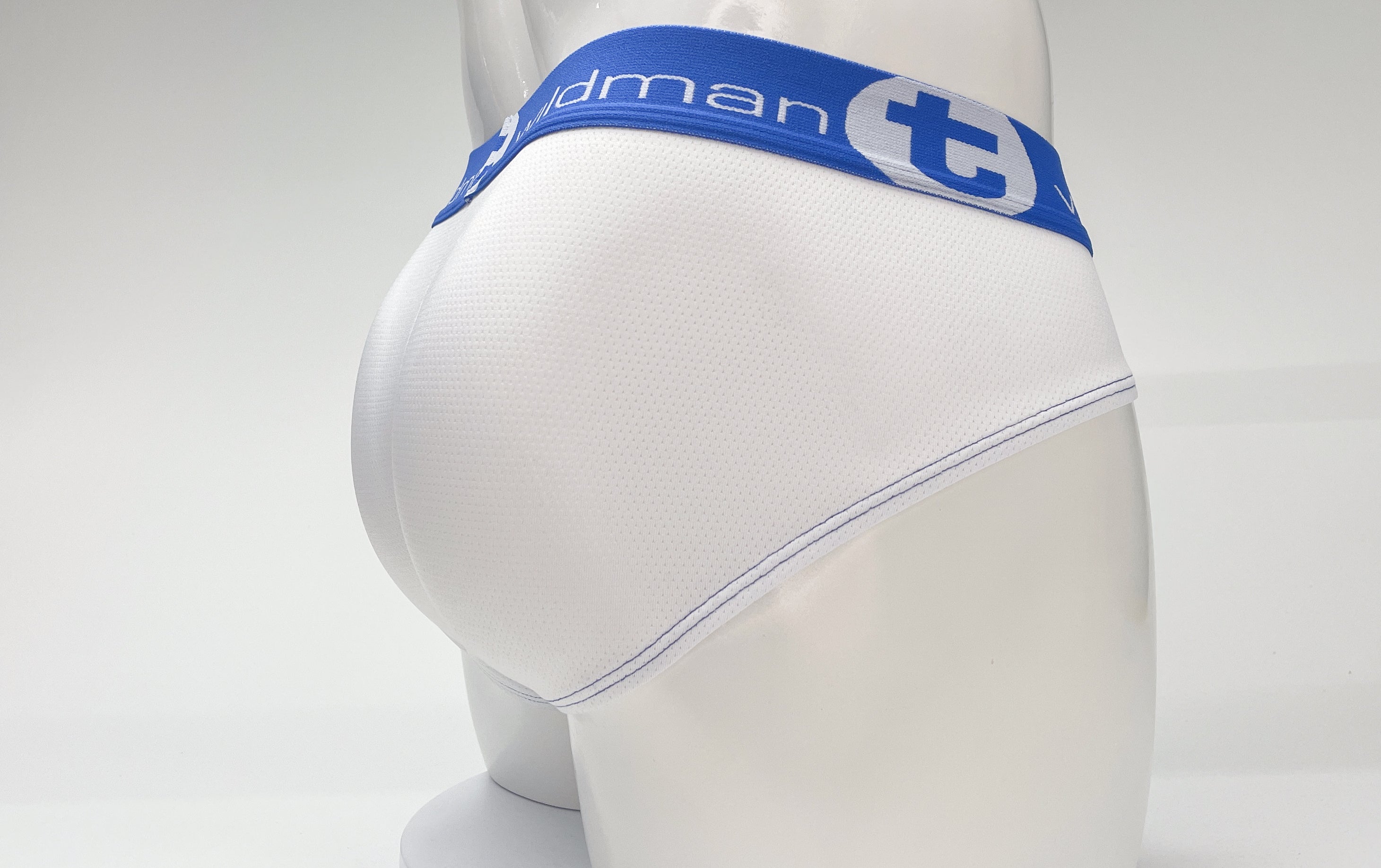 WildmanT Mesh Big Boy Pouch Brief with Stripe White and Blue - EricSaloDesign.com