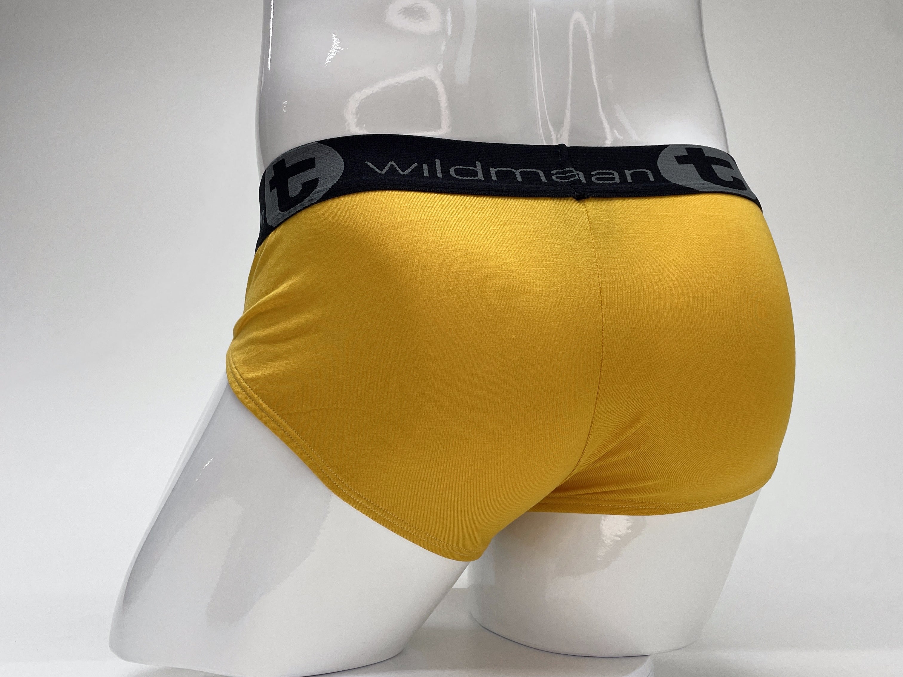 WildmanT Modal Big Boy Pouch Brief Gold - EricSaloDesign.com