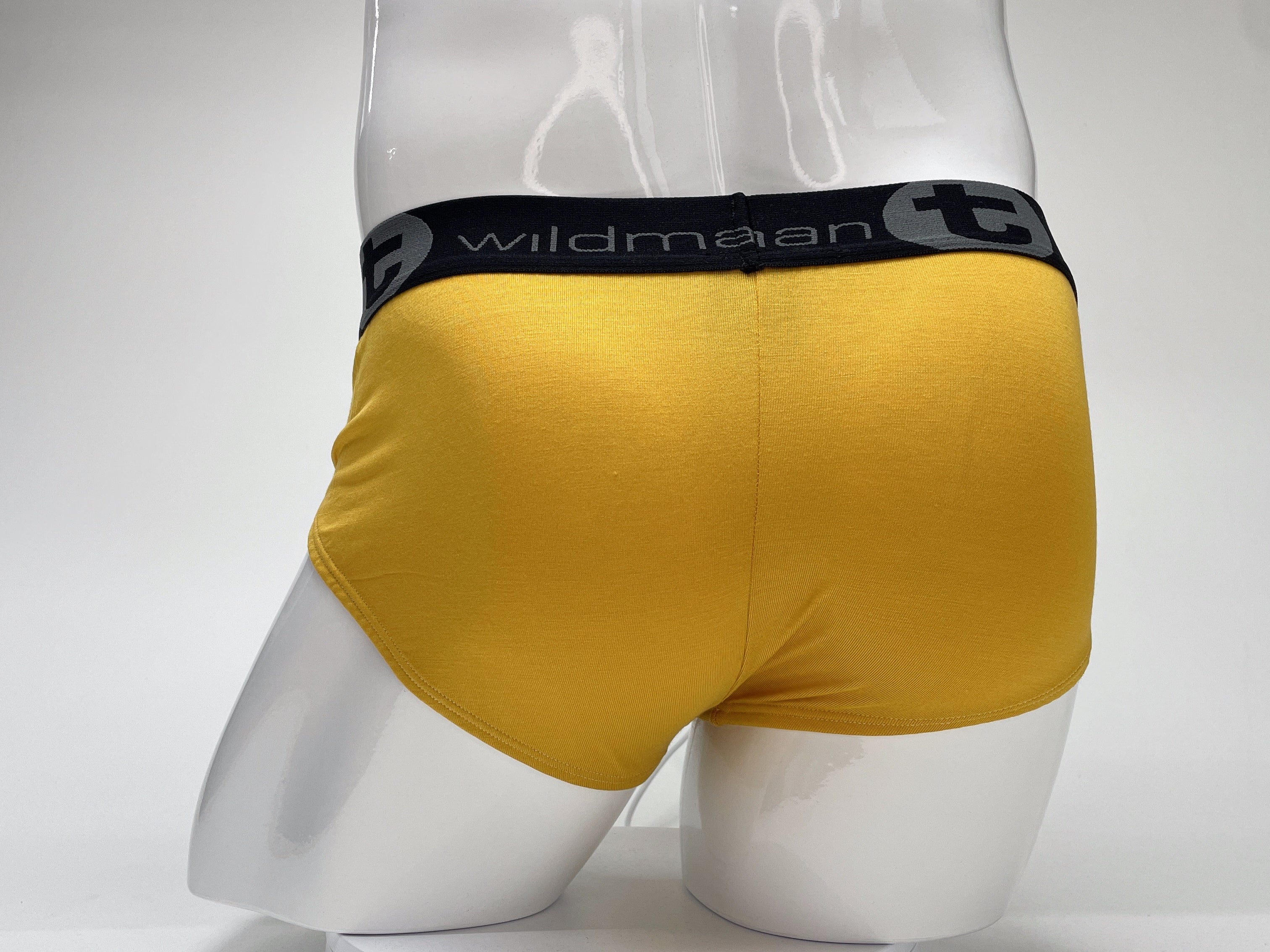 WildmanT Modal Big Boy Pouch Brief Gold - EricSaloDesign.com