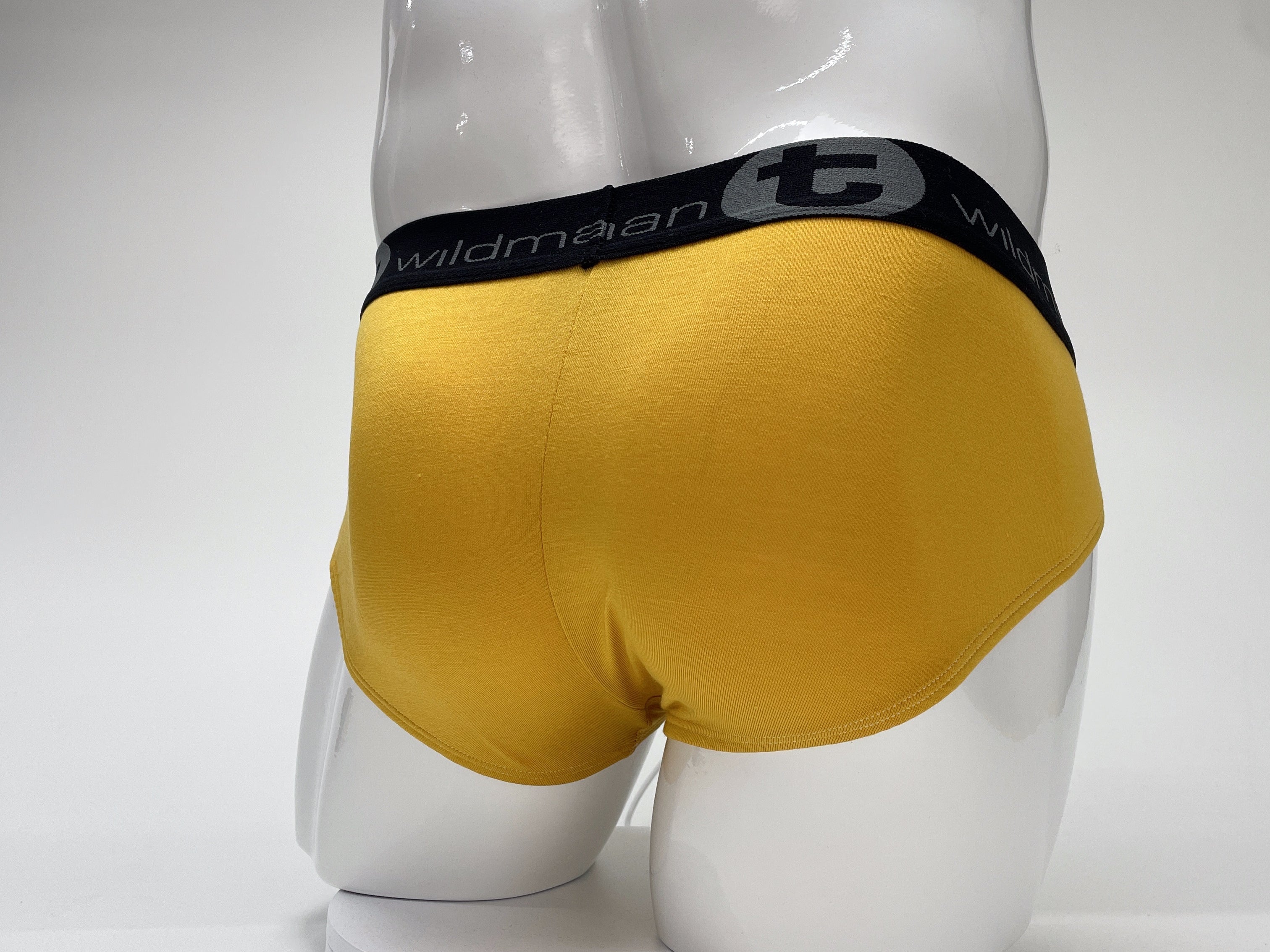 WildmanT Modal Big Boy Pouch Brief Gold - EricSaloDesign.com