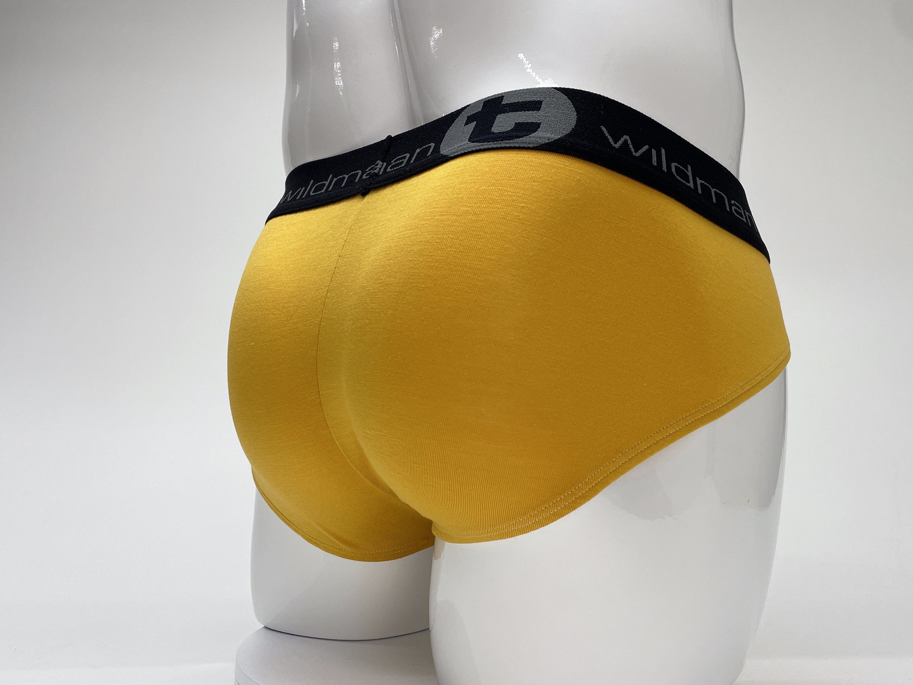 WildmanT Modal Big Boy Pouch Brief Gold - EricSaloDesign.com